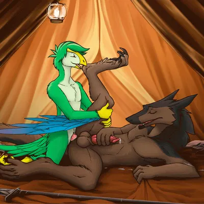 degeneratewolfe created by sterr