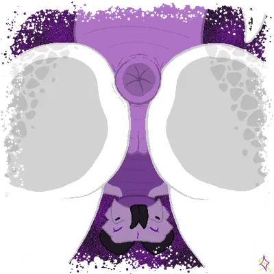 savak created by snapps