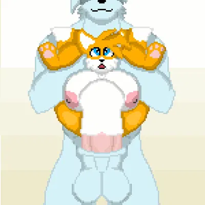 cole (colesutra), miles prower (sega, sonic the hedgehog (series)) created by anormalzombie