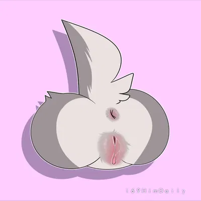 created by i69himdaily