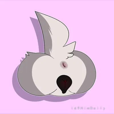 created by i69himdaily