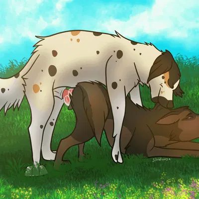 created by silvaticurse