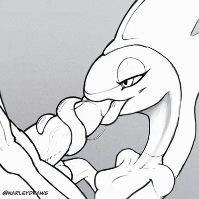 nintendo, pokemon created by narley