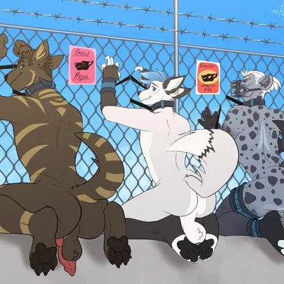 riyote created by peyotethehyena