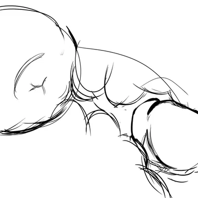 haru (beastars), legoshi (beastars) (beastars) created by duckhere