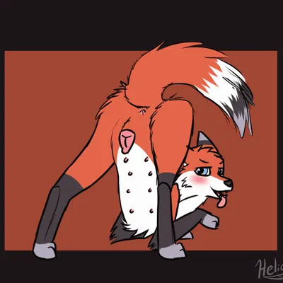 maia (heliofox) created by heliofox