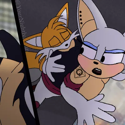 miles prower, rouge the bat (sega, sonic the hedgehog (series)) created by yournightlydesires