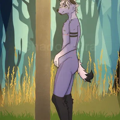 created by shadowxtra