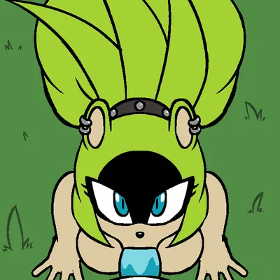 kitsunami the fennec, surge the tenrec (idw publishing, sega) created by shy debby