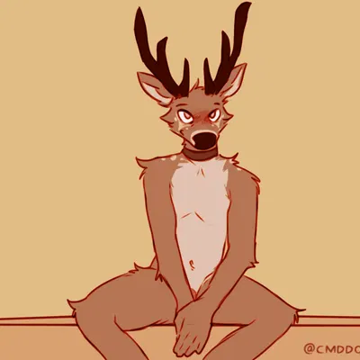 panko (lawyerdog) created by lawyerdog