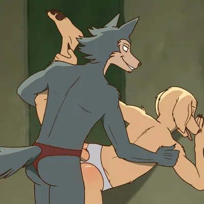 jack (beastars), legoshi (beastars) (beastars) created by bikomation