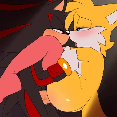 miles prower, shadow the hedgehog (sega, sonic the hedgehog (series)) created by krazyelf