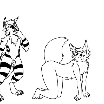 created by witte konijn