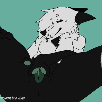 created by crescentcanine