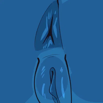 mae borowski (night in the woods, witchdagger) created by lazysnout