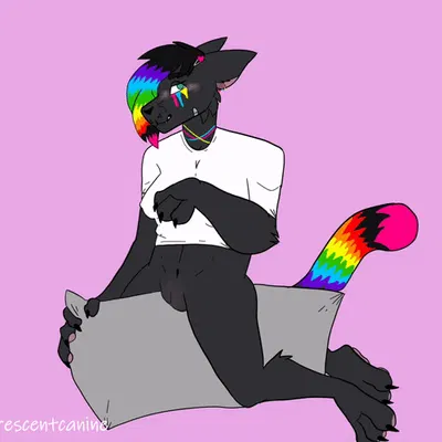 created by crescentcanine