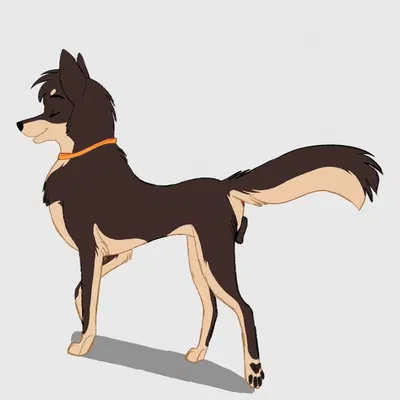 jet (ishan) created by tuwka