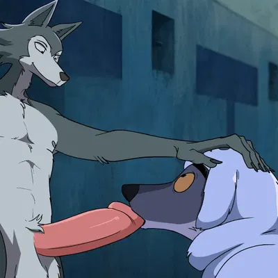legoshi (beastars), mr. wolf (the bad guys) (beastars, dreamworks) created by bikomation