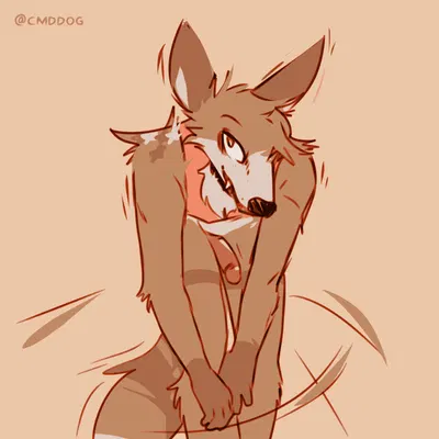 cantio (lawyerdog) created by lawyerdog