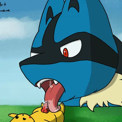 nintendo, pokemon created by lazy sunshine