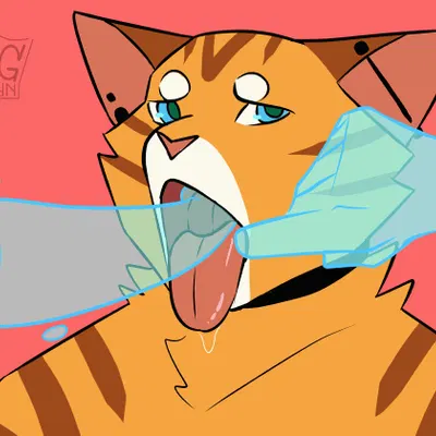 andy (kingdragyn) created by kingdragyn