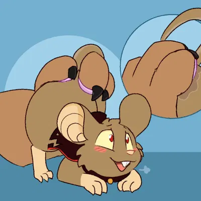 created by pocketpaws