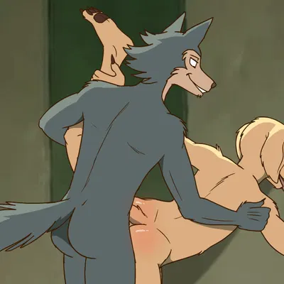 jack (beastars), legoshi (beastars) (beastars, netflix) created by bikomation