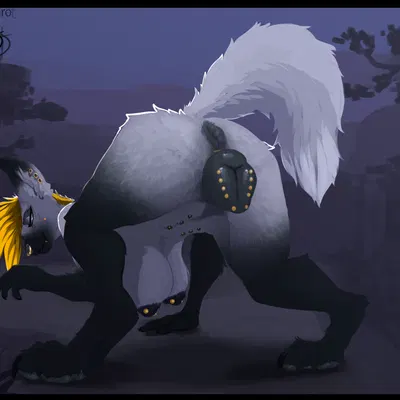 bevan mackinnon created by staro