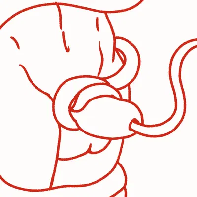 created by trapknight