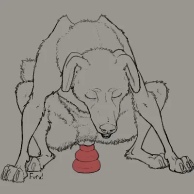 kong toy created by furvilous