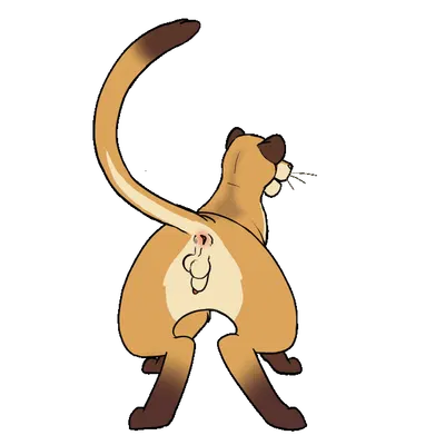 skan drake created by tuwka