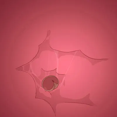 nirah (feral frenzy) created by feral frenzy, itomic