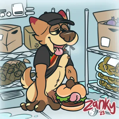 zanky created by zankytime