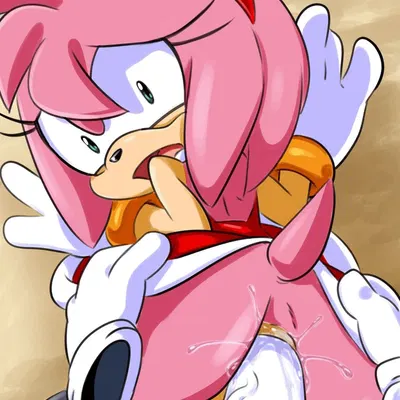 amy rose, miles prower (sega, sonic the hedgehog (series)) created by pokachu (artist)