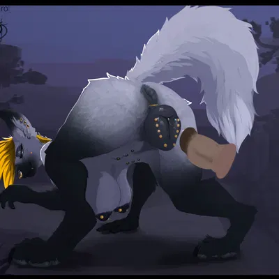 bevan mackinnon created by staro