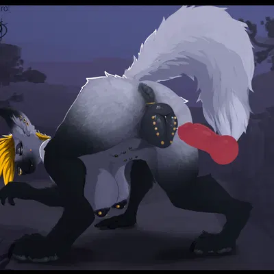 bevan mackinnon created by staro