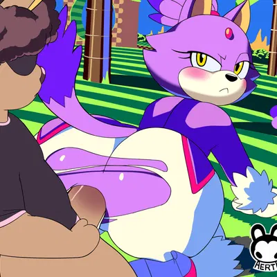 blaze the cat (sega, sonic the hedgehog (series)) created by aerth