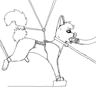 created by sketchygenet