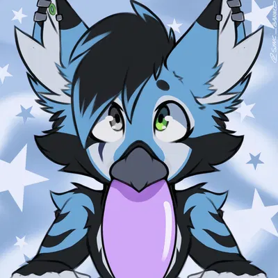 rovik (rovik1174) created by syncbanned