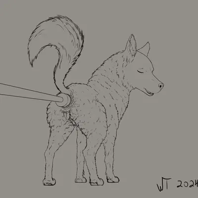 created by wildtail (artist)