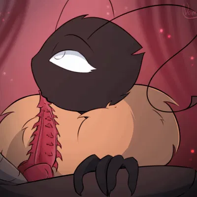 fan character, luka (nomrico) (hollow knight (franchise), team cherry) created by nomrico