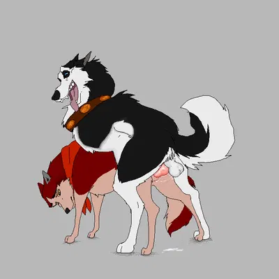 jenna (balto), steele (balto) (balto (series), cartoon network) created by jeffusherb