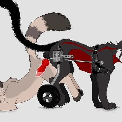 pascal (jeffusherb) created by drmax, jeffusherb