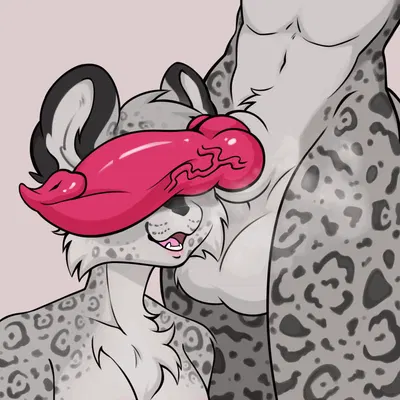 absolon the jaguar, aya the jaguar created by chibinchubin