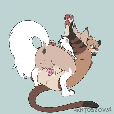 nintendo, pokemon created by antoszowa