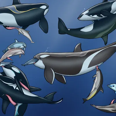 akai (akaitheorca), aphina, aurora (auroraborealis) created by dolorcin