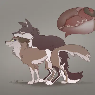 aleu (balto), taku (balto) (balto (series), universal studios) created by kryotea