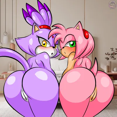 amy rose, blaze the cat (sega, sonic the hedgehog (series)) created by sirjzau