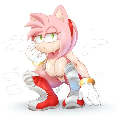 amy rose (sega, sonic the hedgehog (series)) created by jaynatorburudragon