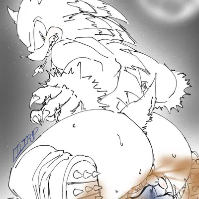 amy rose, sonic the hedgehog, sonic the werehog (mythology, sega) created by lillipupkit (artist)